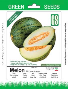 خربزه تیل سبز