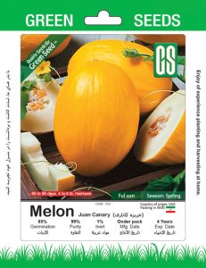 خربزه کاناری