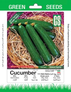 خیار بوته ای بیت آلفا