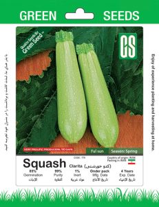 کدو خورشتی ایرانی