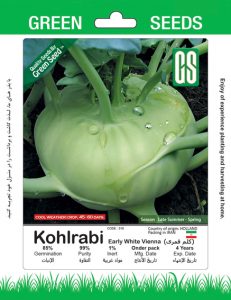 کلم قمری سبز